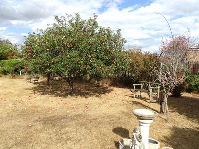 Picture 23